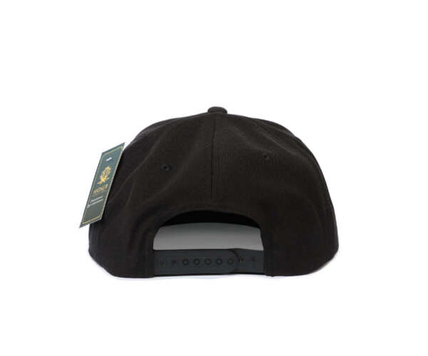 HV Classic Snap Hat - Image 2